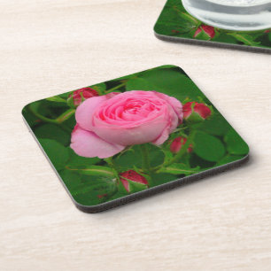 "PINK ROSE" ONDERZETTERS (SET VAN 6)