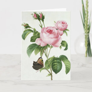 Pink Rose Pierre-Joseph Redoute Wenskaart Kaart