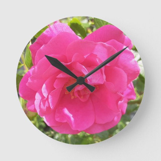 Pink Rose Ronde Klok (Voorkant)