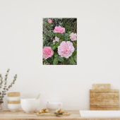 Pink Rose Roses Flower Floral Garden Radox Bouquet Poster (Keuken)