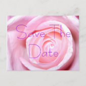 Pink Rose, Save the Date Briefkaart (Voorkant)