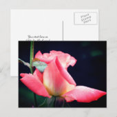 Pink Rosebud Delight Flower Photography Briefkaart (Voorkant / Achterkant)