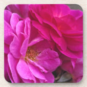 Pink Roses Bier Onderzetter (Voorkant)