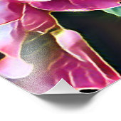 PINK ROSES FOTO AFDRUK (Hoek)