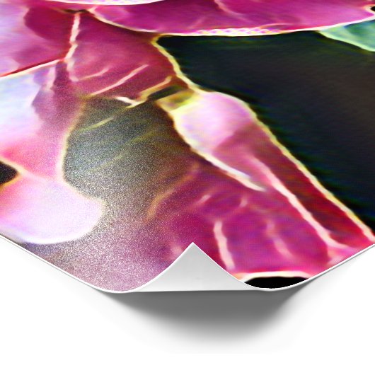 PINK ROSES FOTO AFDRUK (Hoek)