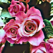 PINK ROSES INPAKPAPIER VEL