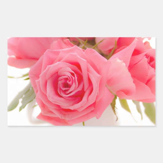 Pink roses | mothersday | birthday | rechthoekige sticker (Voorkant)