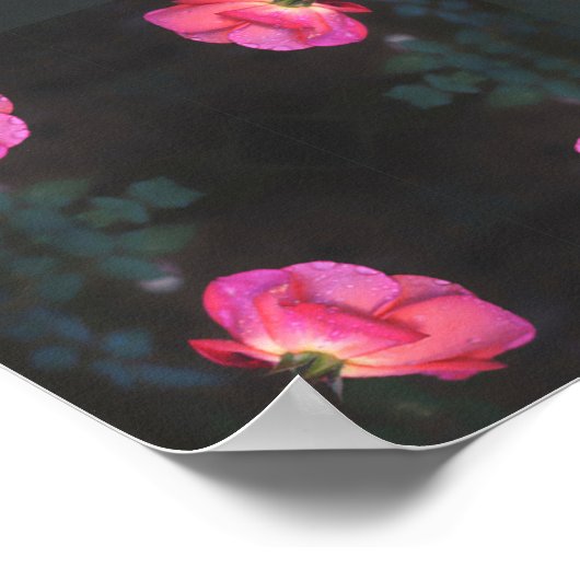 Pink Roses Pattern Poster (Hoek)