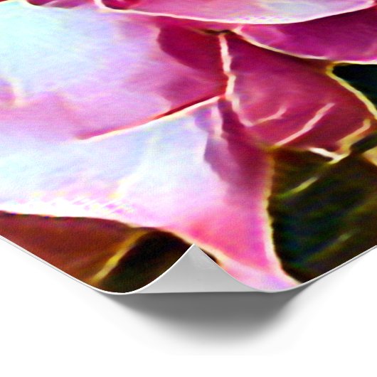 PINK ROSES POSTER (Hoek)