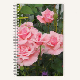 Pink Roses Spiral  Notitieboek