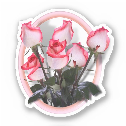 Pink Roses Sticker (Voorkant)