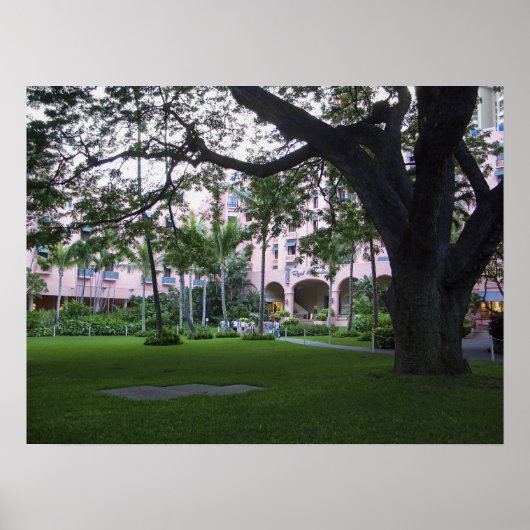 PINK ROYAL HAWAIIAN HOTEL POSTER (Voorkant)