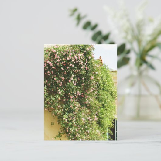 PINK-ROZEN BRIEFKAART (Staand voorkant)