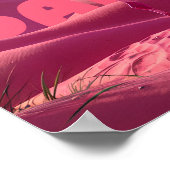 Pink Sands Flamingo Poster (Hoek)