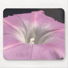 Pink Satin Morning Glory Close-up Muismat