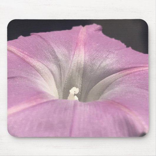 Pink Satin Morning Glory Close-up Muismat (Voorkant)