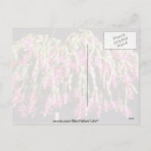 Pink Schlumbergera Bridgesii (Christmas Cactus) fl Feestdagenkaart (Achterkant)