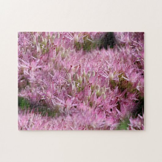Pink Sedum Autumn Flowers Multiplied Legpuzzel (Horizontaal)