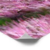 Pink Sedum Autumn Flowers Multiplied Poster (Hoek)