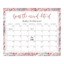 Pink & Silver Sneeuwvlokken Raad het Poster van de