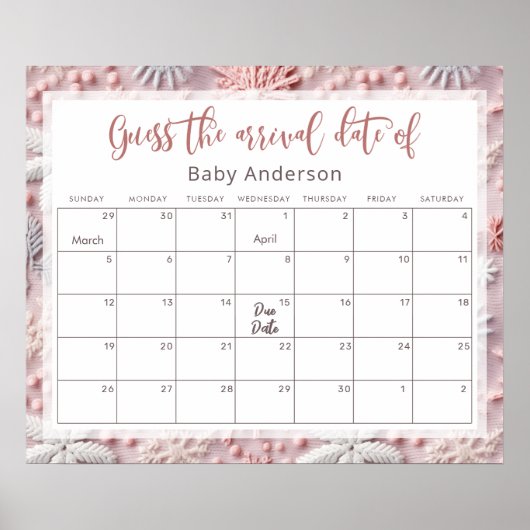 Pink & Silver Sneeuwvlokken Raad het Poster van de (Voorkant)