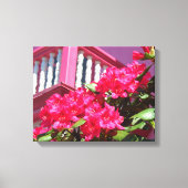 Pink Spring Balcony - Martha's wijngaard Canvas Afdruk (Voorkant)