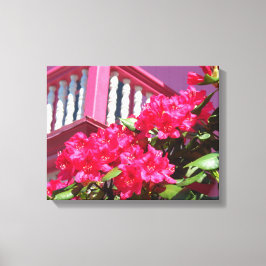 Pink Spring Balcony - Martha's wijngaard Canvas Afdruk