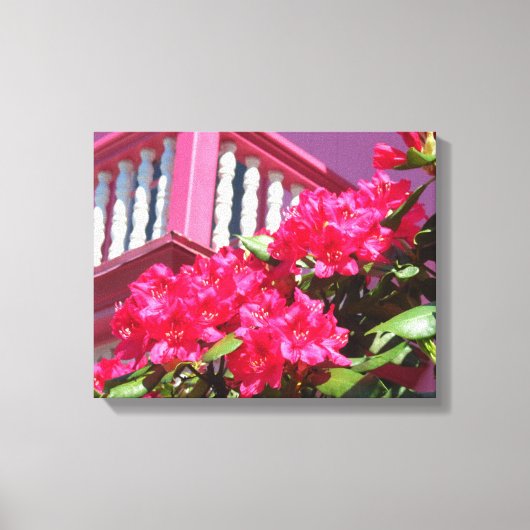 Pink Spring Balcony - Martha's wijngaard Canvas Afdruk (Voorkant)