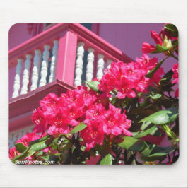 Pink Spring Balcony - Martha's wijngaard Muismat