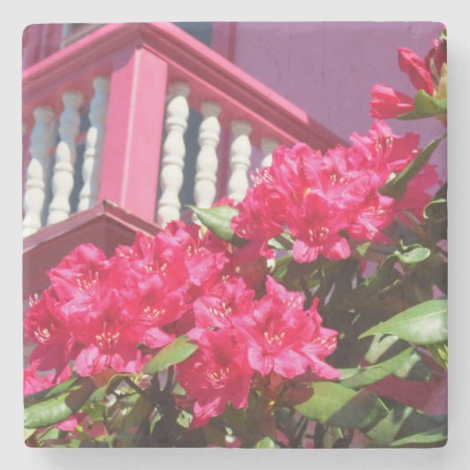 Pink Spring Balcony - Martha's wijngaard Stenen Onderzetter (Voorkant)