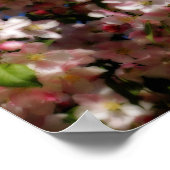 Pink Spring Blossom Blue Sky Orton Effect Poster (Hoek)
