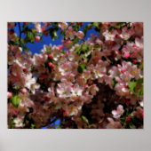 Pink Spring Blossom Blue Sky Orton Effect Poster (Voorkant)