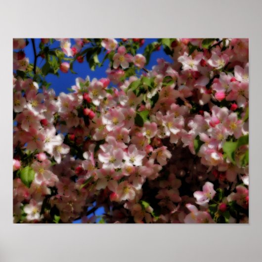 Pink Spring Blossom Blue Sky Orton Effect Poster (Voorkant)