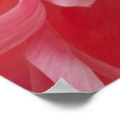 Pink Spring Peony Flower - Peonies Sjabloon Poster (Hoek)