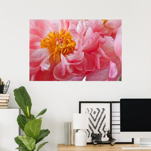 Pink Spring Peony Flower - Peonies Sjabloon Poster (Thuiskantoor)