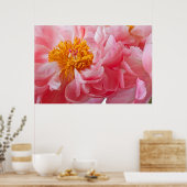 Pink Spring Peony Flower - Peonies Sjabloon Poster (Keuken)
