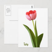 Pink Spring Tulip Natuur Floral Fotografie Briefkaart (Voorkant / Achterkant)
