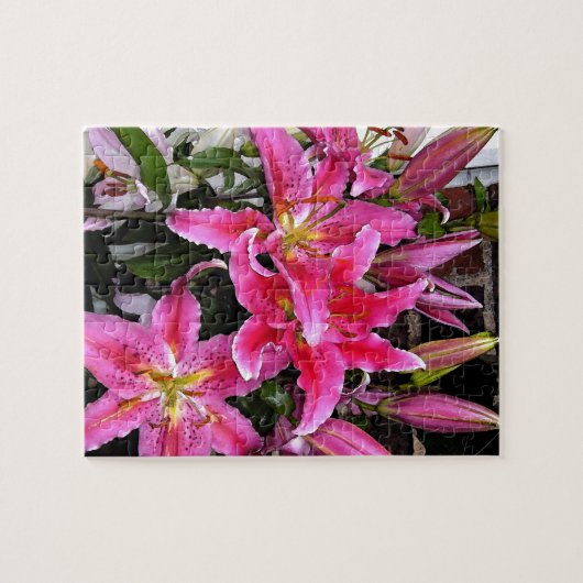 Pink Stargazer Lily Legpuzzel (Horizontaal)
