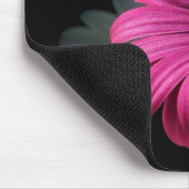 PINK STUDIO DAISY MUISMAT (Hoek)