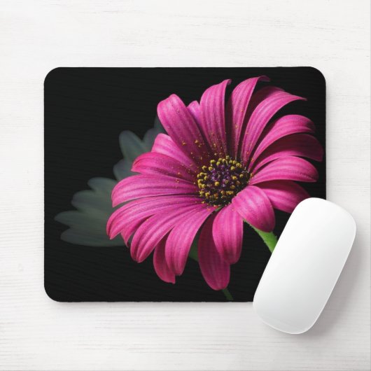 PINK STUDIO DAISY MUISMAT (Met muis)
