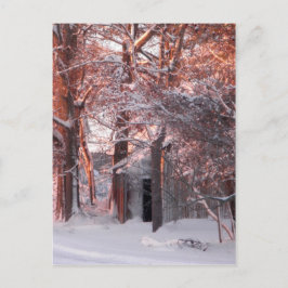 Pink Sunrise op de sneeuwfoto Briefkaart