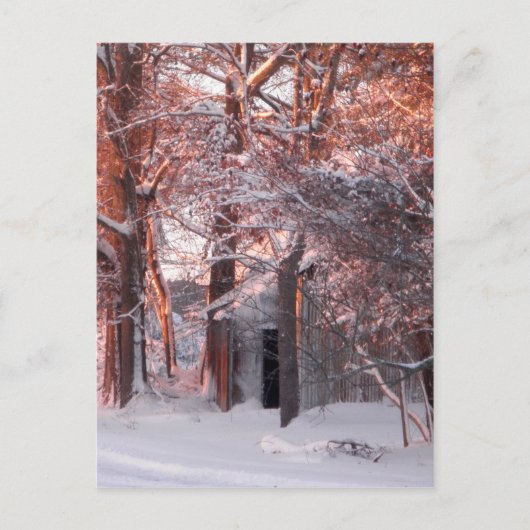 Pink Sunrise op de sneeuwfoto Briefkaart (Voorkant)