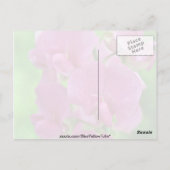 Pink Sweet Pea bloemen Briefkaart (Achterkant)