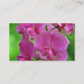 Pink Sweet Pea bloemen Visitekaartje (Achterkant)