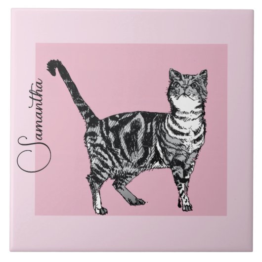 Pink Tabby Cat Cats Pastel Pink Girls Name Tegeltje (Voorkant)