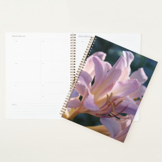 Pink Tall Lilies Magic Lily Planner (Display)