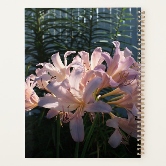 Pink Tall Lilies Magic Lily Planner (Achterkant)