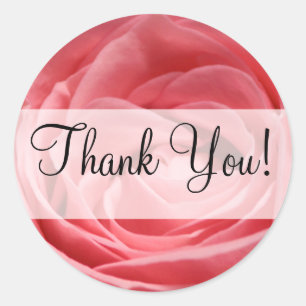 Pink Tea Roos met "Thank You!" banner Ronde Sticker