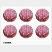 Pink Torch Ginger Wedding Envelope Afdichtingen /  Ronde Sticker (Vel)