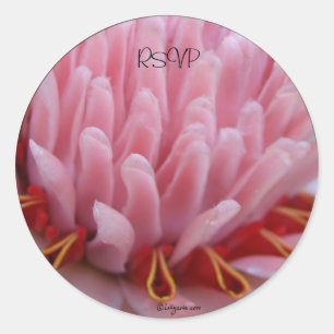 Pink Torch Ginger Wedding Envelope Afdichtingen / Ronde Sticker